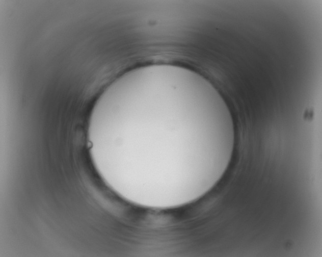 X0000114690311200910211100