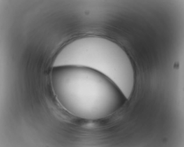 X0000114690312200910211100