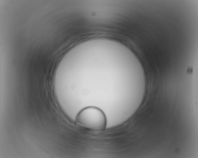 X0000114690313200910211100