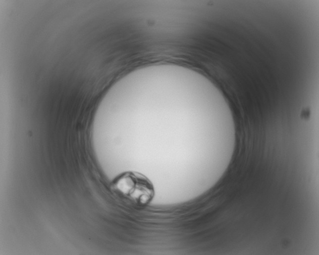 X0000114690316200910211100