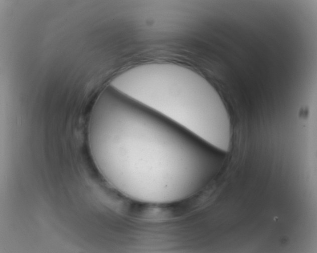 X0000114690319200910211100