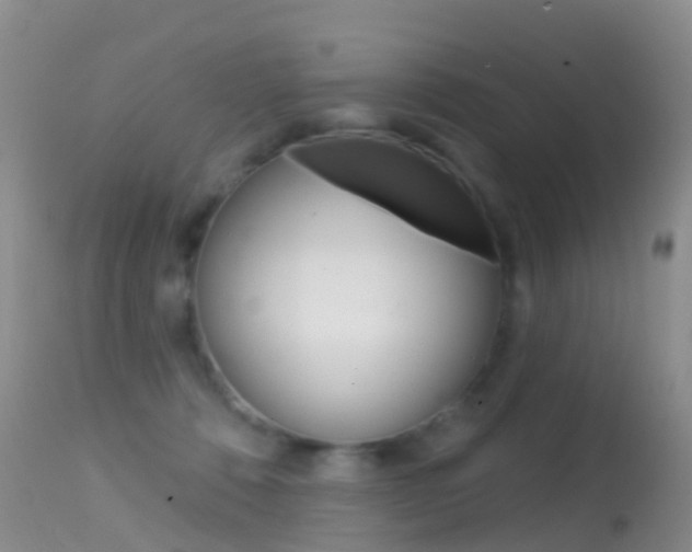 X0000114690320200910211100