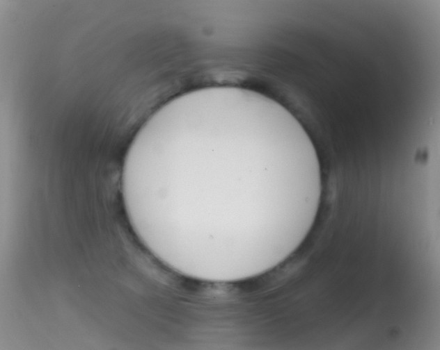 X0000114690321200910211100