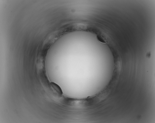 X0000114690323200910211100