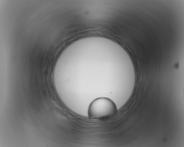 X0000114690324200910211100