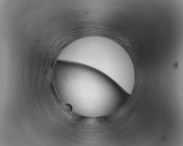 X0000114690325200910211100