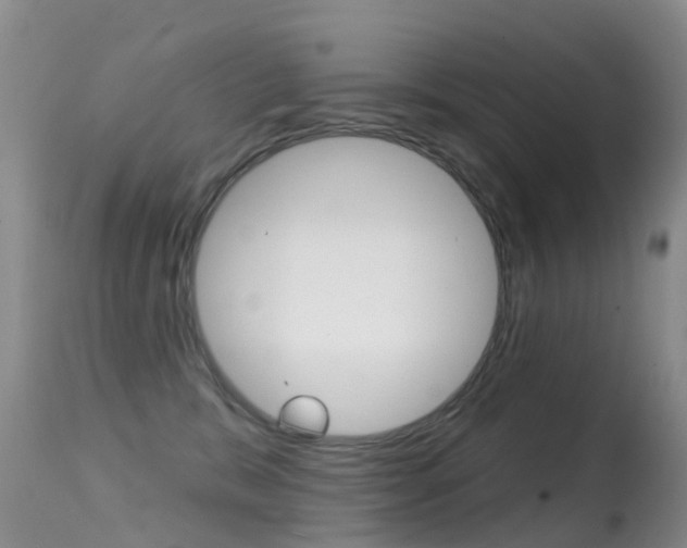 X0000114690327200910211100