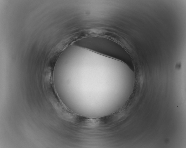 X0000114690328200910211100
