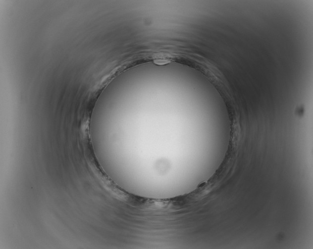 X0000114690329200910211100