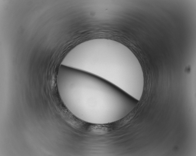 X0000114690331200910211100