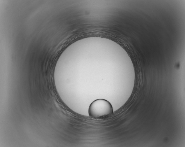 X0000114690332200910211100