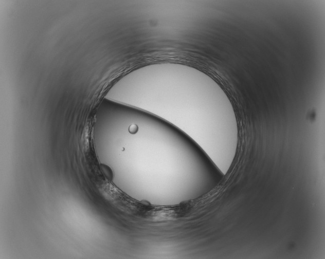 X0000114690333200910211100
