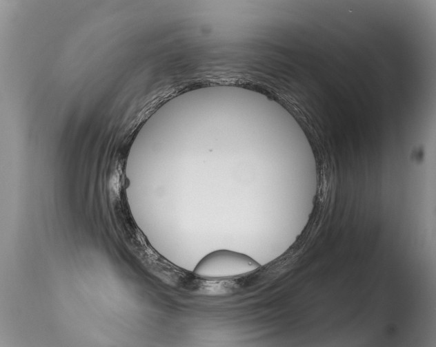X0000114690334200910211100