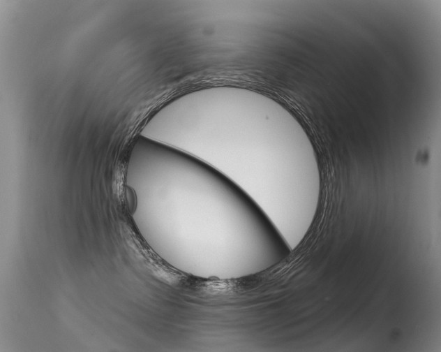 X0000114690335200910211100