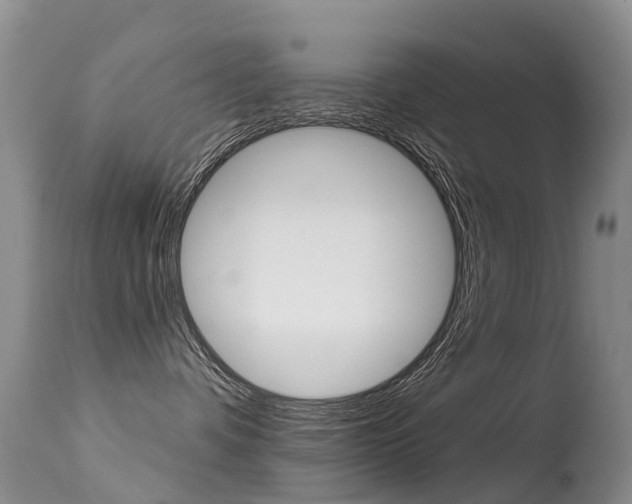 X0000114690336200910211059
