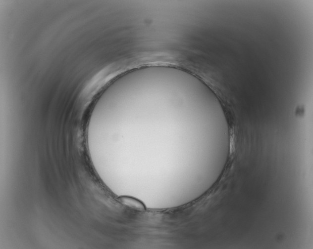 X0000114690339200910211059
