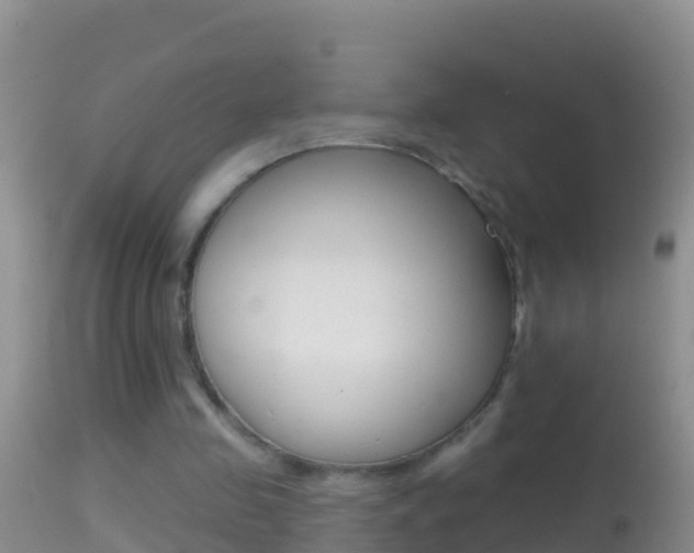 X0000114690341200910211059