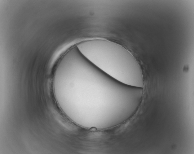 X0000114690342200910211059