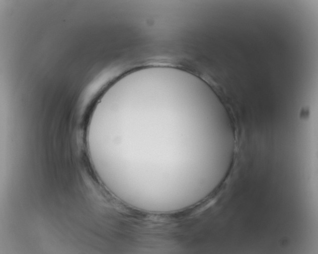 X0000114690343200910211059