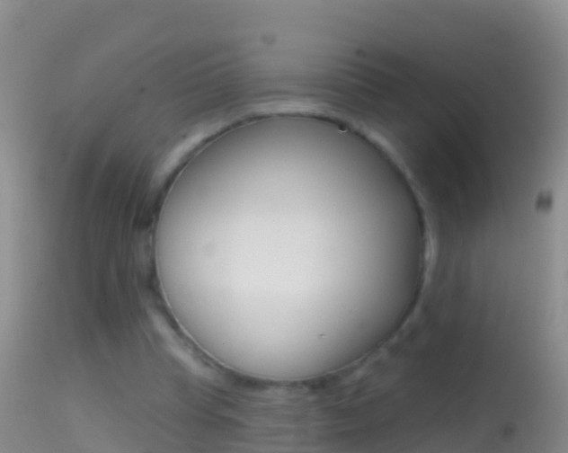 X0000114690345200910211059