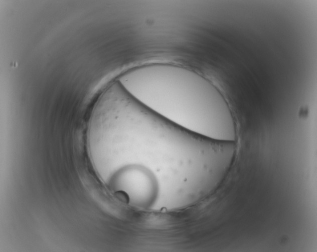 X0000114690346200910211059