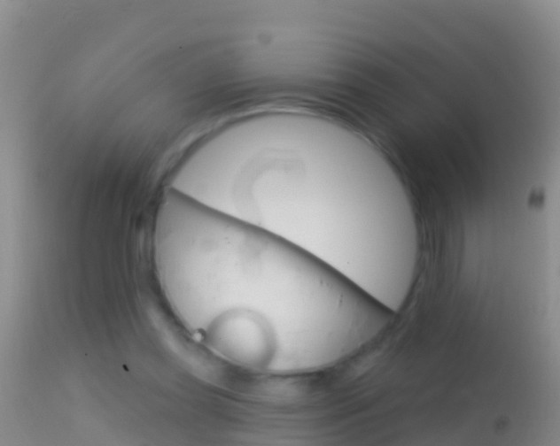 X0000114690349200910211059