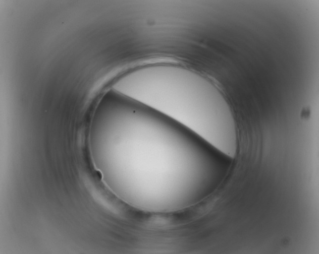 X0000114690350200910211059