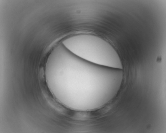 X0000114690351200910211059