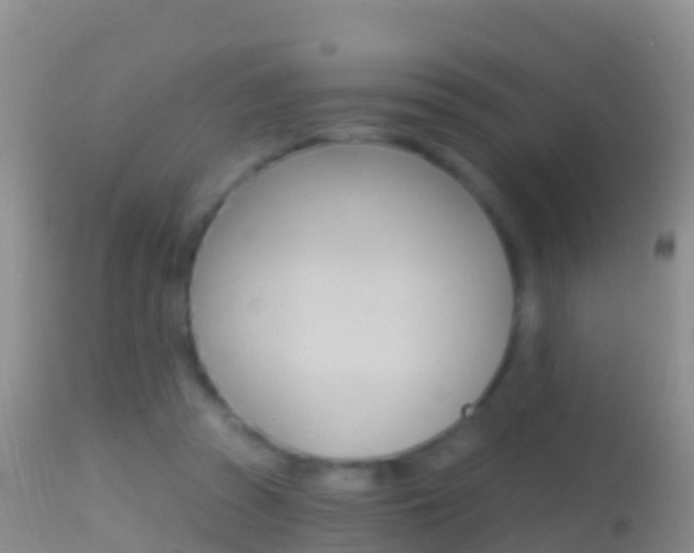 X0000114690353200910211059