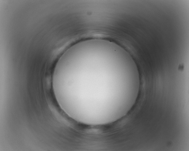 X0000114690358200910211059