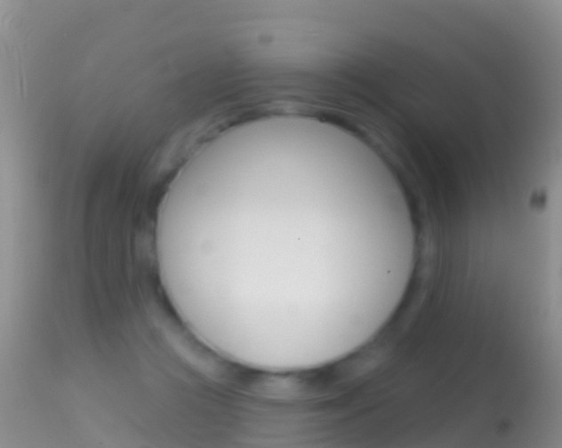 X0000114690361200910211059