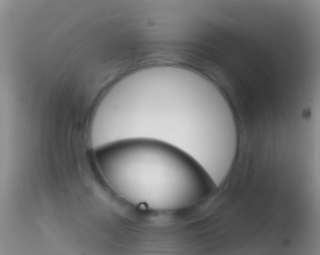 X0000114690362200910211059