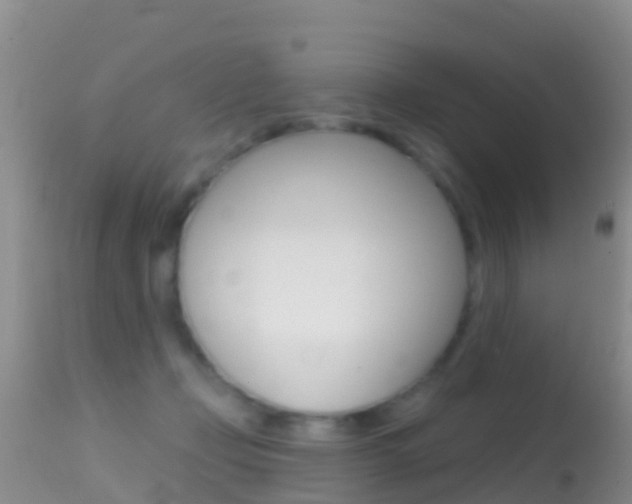 X0000114690365200910211059