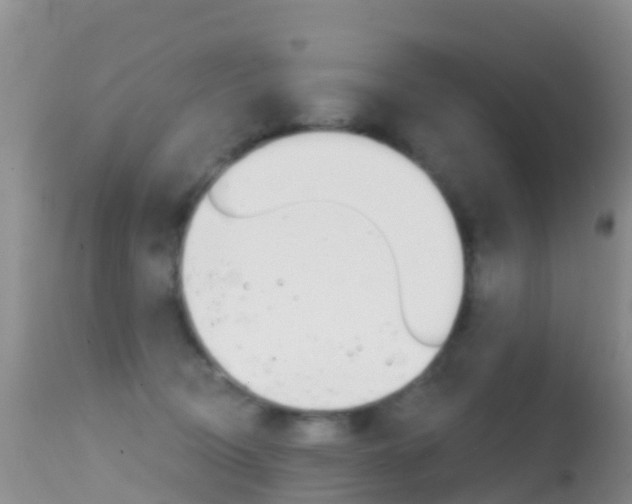 X0000114690370200910211059