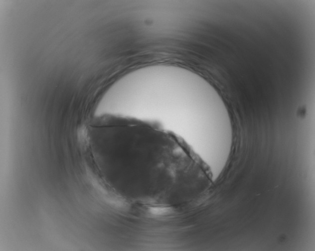 X0000114690371200910211059