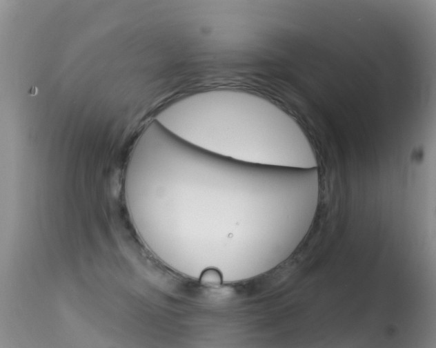 X0000114690374200910211059