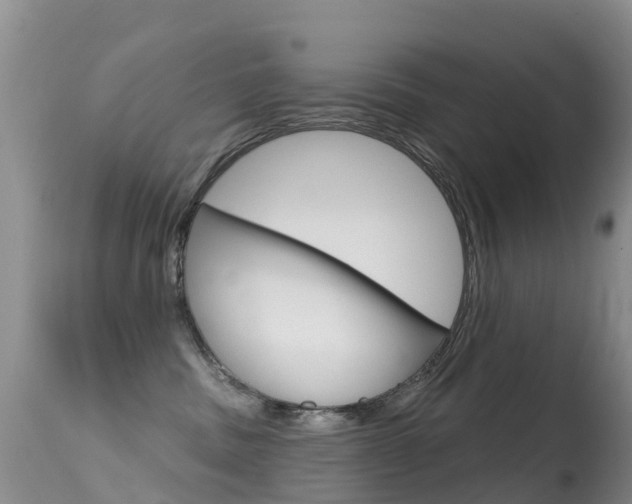 X0000114690379200910211059