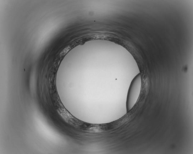 X0000114690381200910211059