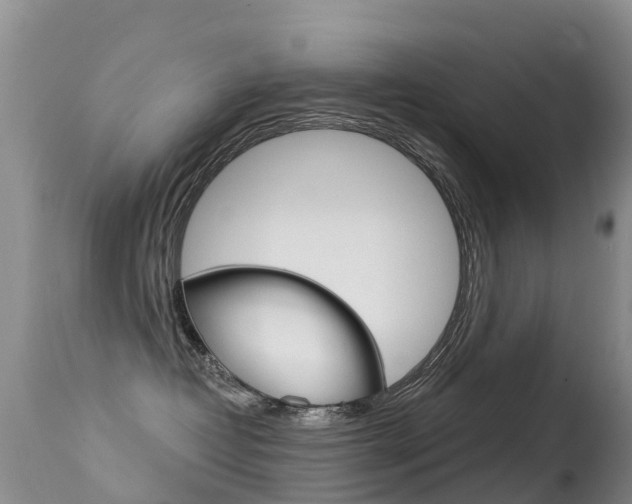X0000114690382200910211059