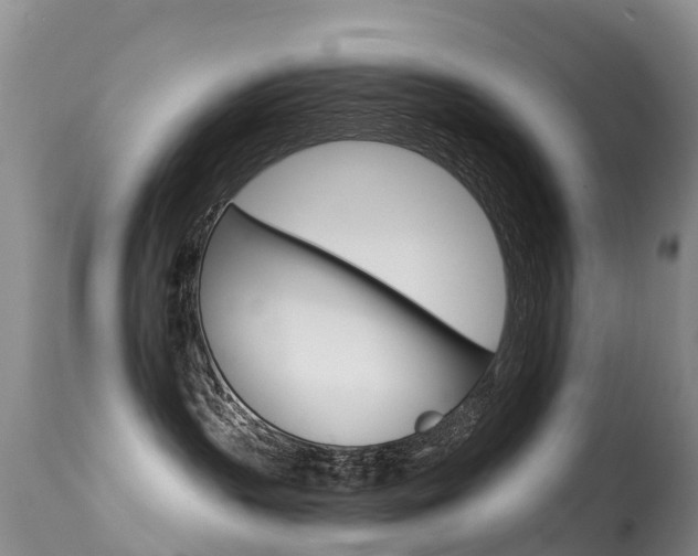 X0000114690383200910211059