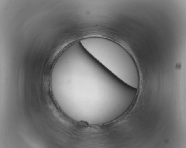 X0000114690386200910211059
