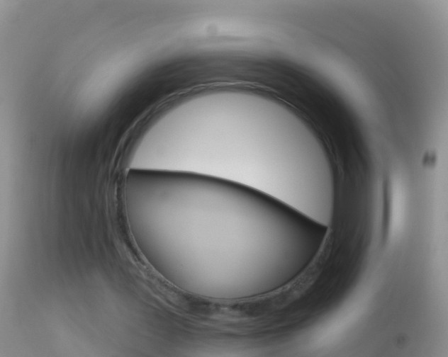 X0000114690387200910211059