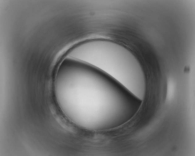 X0000114690388200910211059