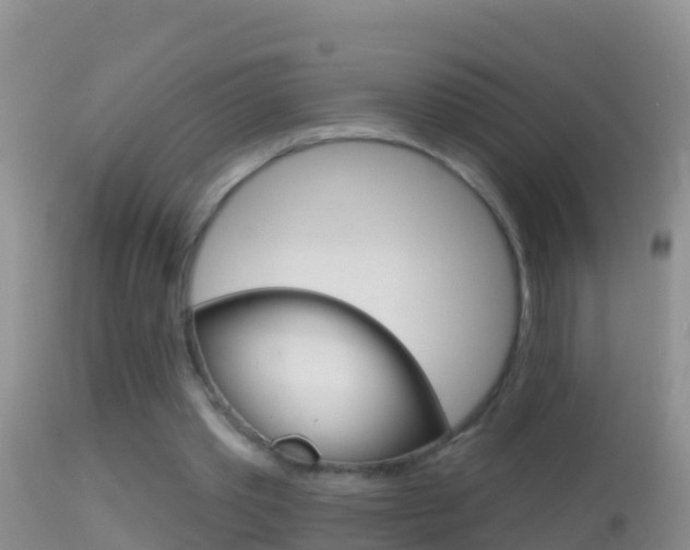 X0000114690389200910211059