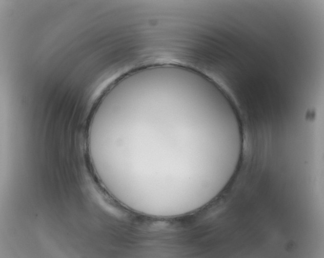 X0000114690390200910211059