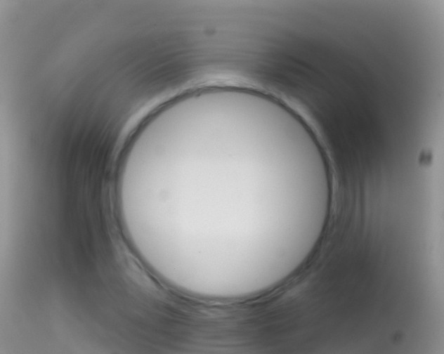 X0000114690391200910211059