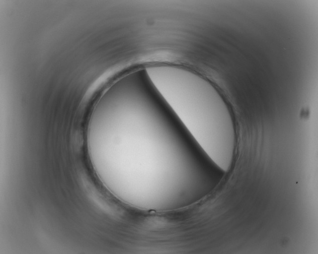 X0000114690392200910211059