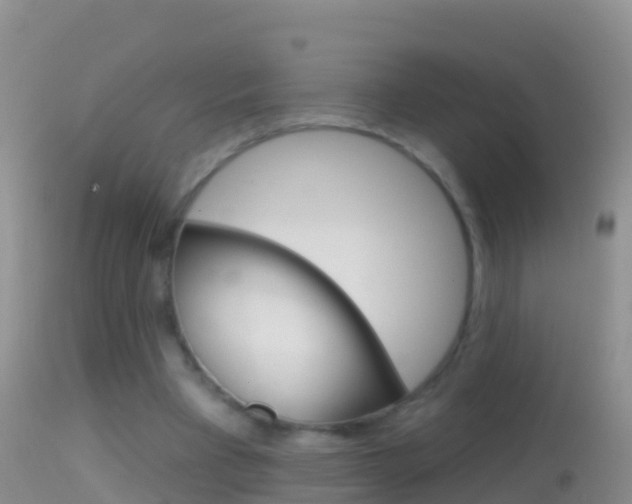 X0000114690393200910211059
