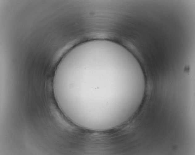 X0000114690394200910211059