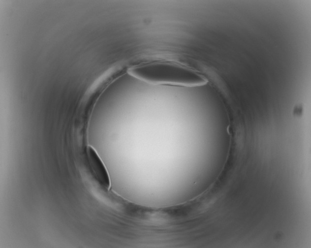 X0000114690395200910211059